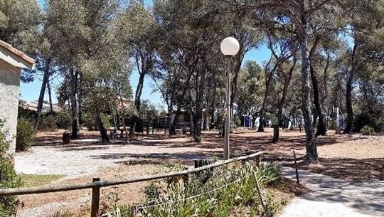 Pinède au Centre de vacances de Fabrégas
