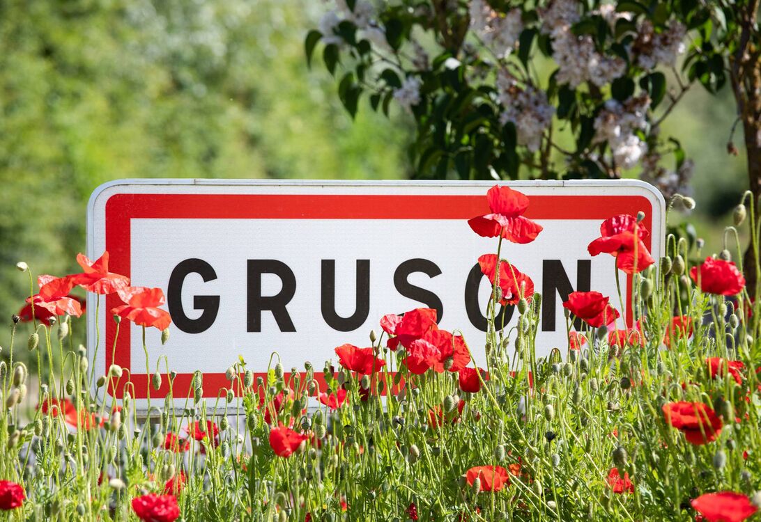Panneau de Gruson derrière des coquelicots
