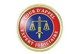 Badge d'expert judiciaire